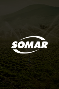 Somar 